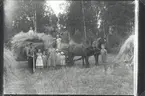 Algot med familj kör in råg 1935.