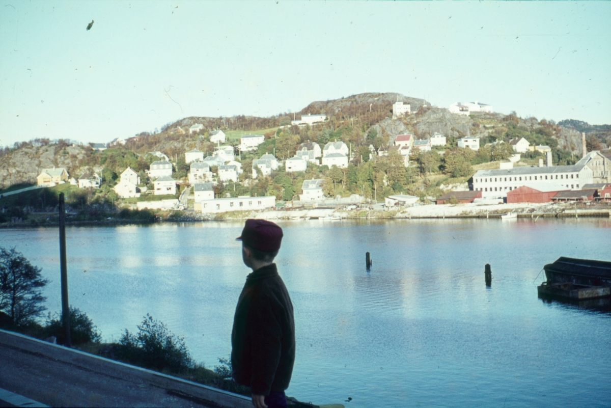 Hafsøy sett fra Lindøyveien