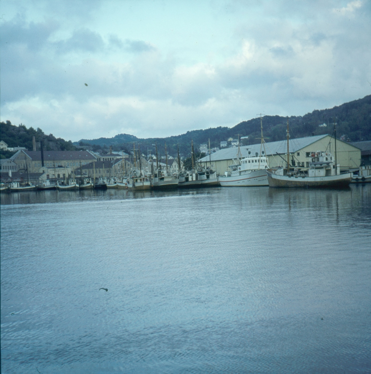 Fiskeskøyter i indre havn i Egersund