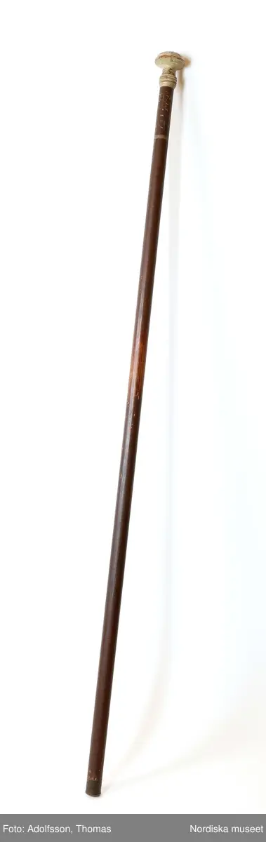 Bystav