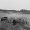 Vid Bosjöns västra strand.