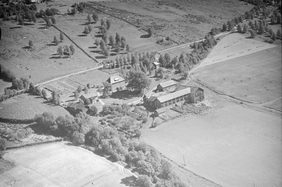 Fougner søndre, Follebu, Gausdal, tårnsilo, åkrer, slåttemark, hesjer, innmarksbeite