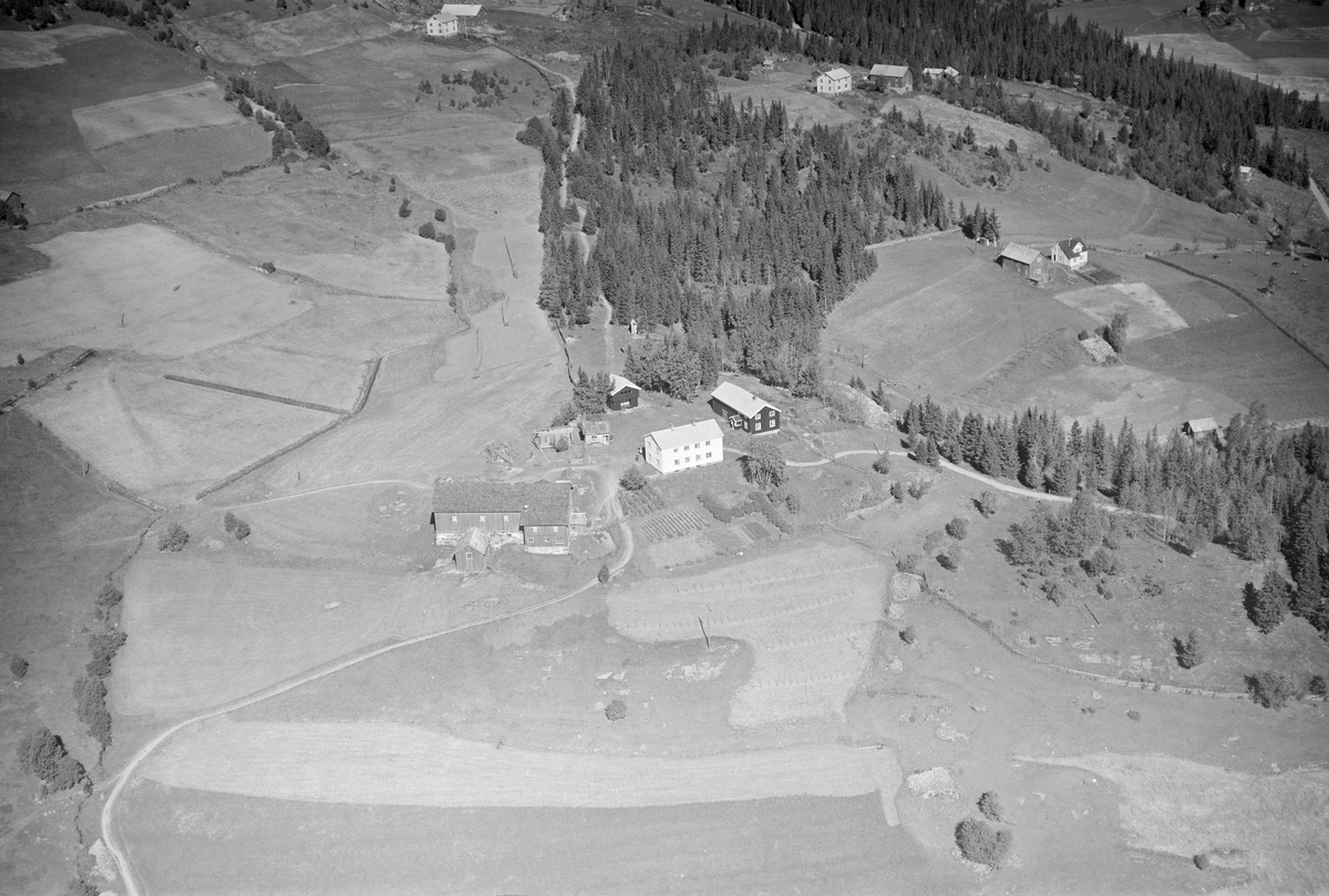 Gården Hovde i Østre Gausdal, slåttemark, hesjer