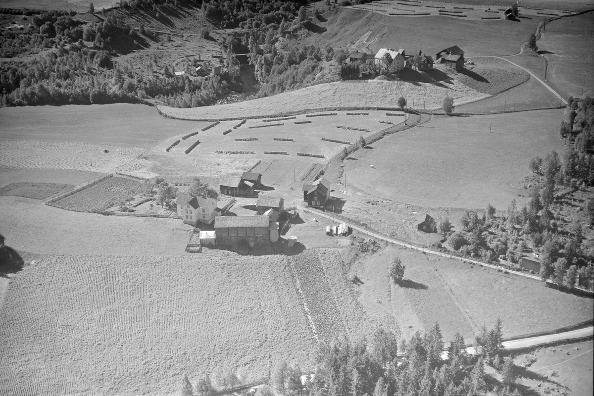 Gryte gård, Segalstad bru, Østre Gausdal, Holen gård i bakgrunnen, slåttemark, åkrer, slåttonn, skuronn, hesjer