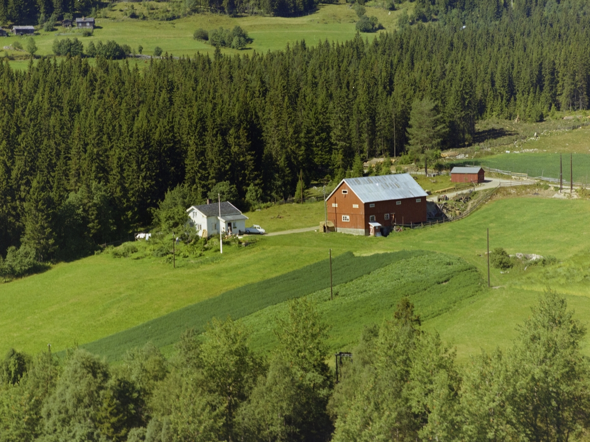 Sørheim. Gårdsbruk. Hvit stue, rødmalt uthus. Kulturlandskap. Dyrka mar. Granskog bak.