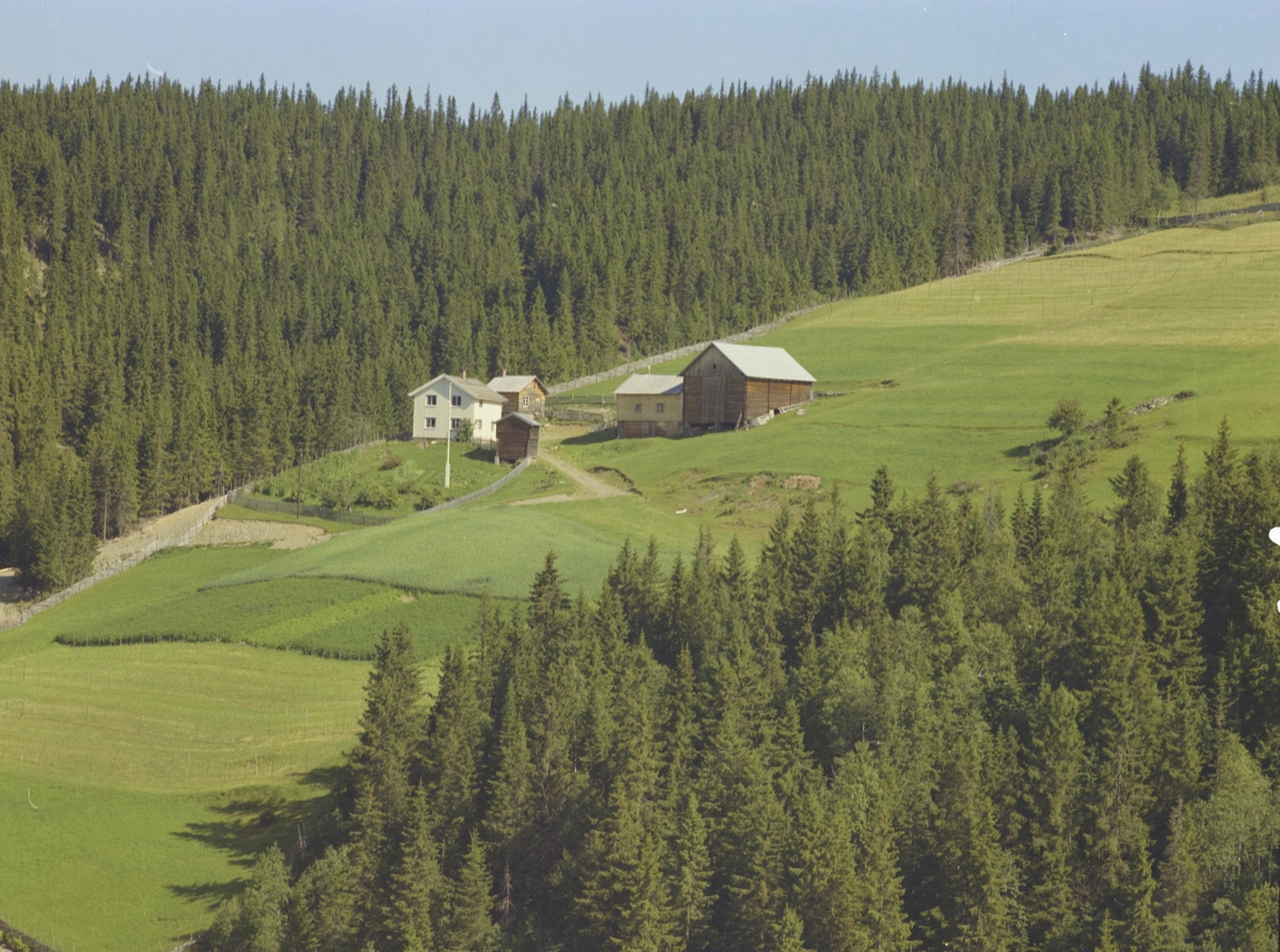 Vårsæter, småbruk, bakkelandskap med skog, Olstad, Vestre Gausdal,