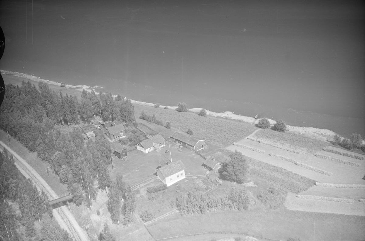 Langlykkja gård, Øyer, 1953, driftsbygning, våningshus, stabbur og flere uthus, kjøkkenhage,  jordbruk, slåttonn, hesjing, jernbanelinje, Lågen til høyre og øverst.