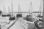 Vinterliggare i Trelle dock, Kållandsö, Västergötland, 1959.
Fr. vänster: M/segel. Ahlfild av Kållandsö, M/segel. Gunnaren av Lidköping, M/segel. Elsa av Kållandsö, M/segel. Lidan av Lidköping, M/segel. Vänervik av Kållandsö, M/segel. Helga av Kållandsö, M/segel. Althea av Kållandsö.