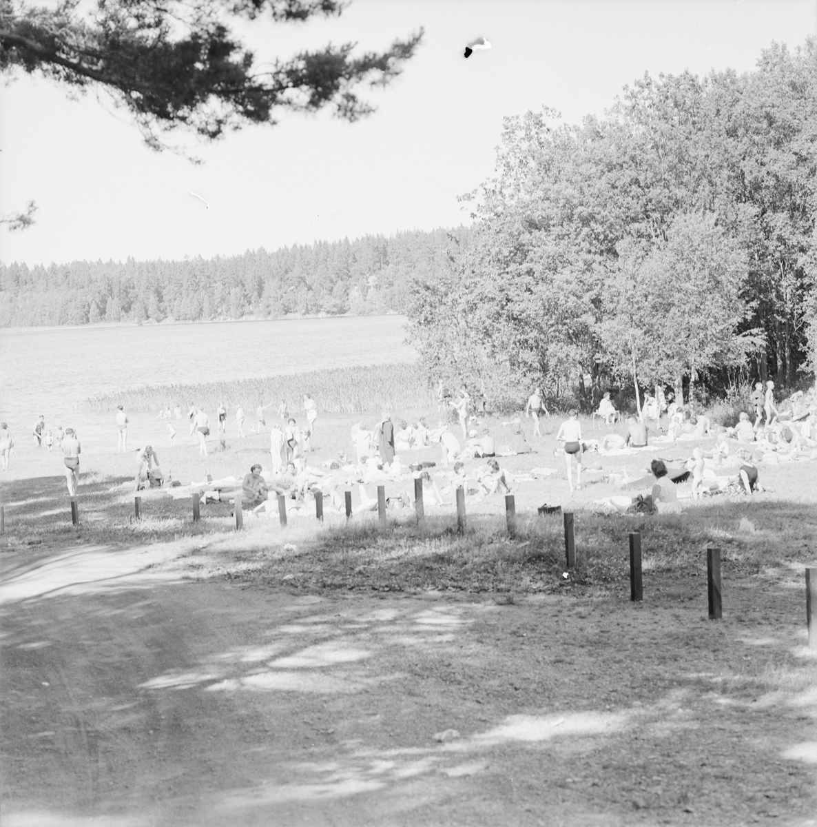 Sandvikens badplats, Långsjön, Björklinge, Uppland 1958