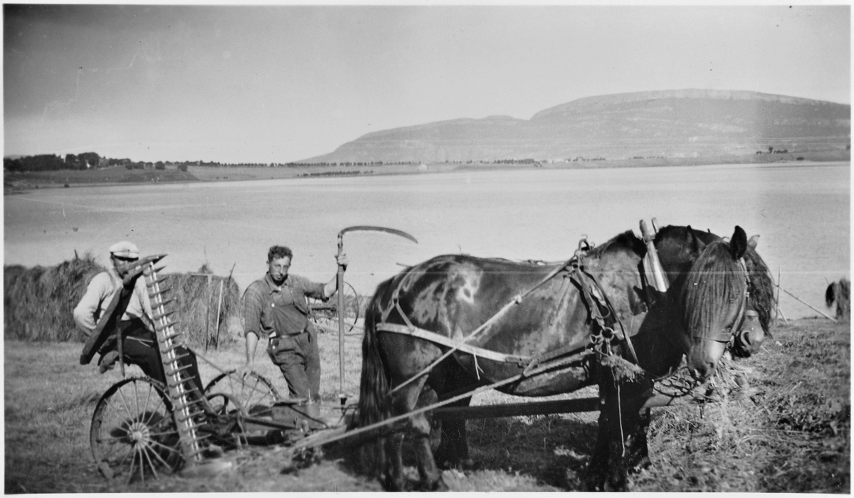 Slåttonn på Fissa.  Anton og Arne Rokseth.