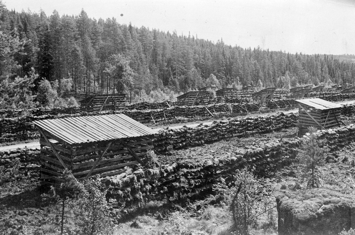 Romedal almenning, Stange, torvmyr, torvbuer, ukjent sted.
