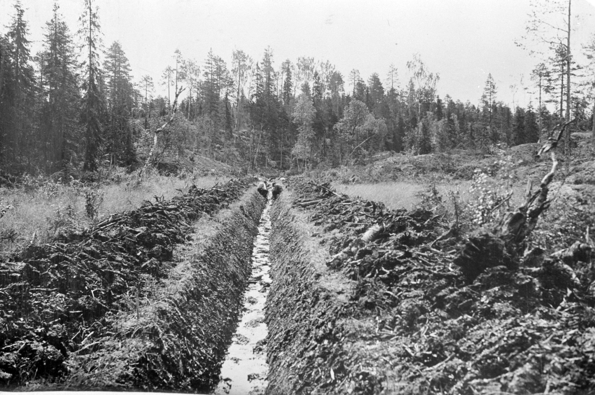 Romedal almenning, Stange. Skogbruk, grøfting, myr, ukjent sted.