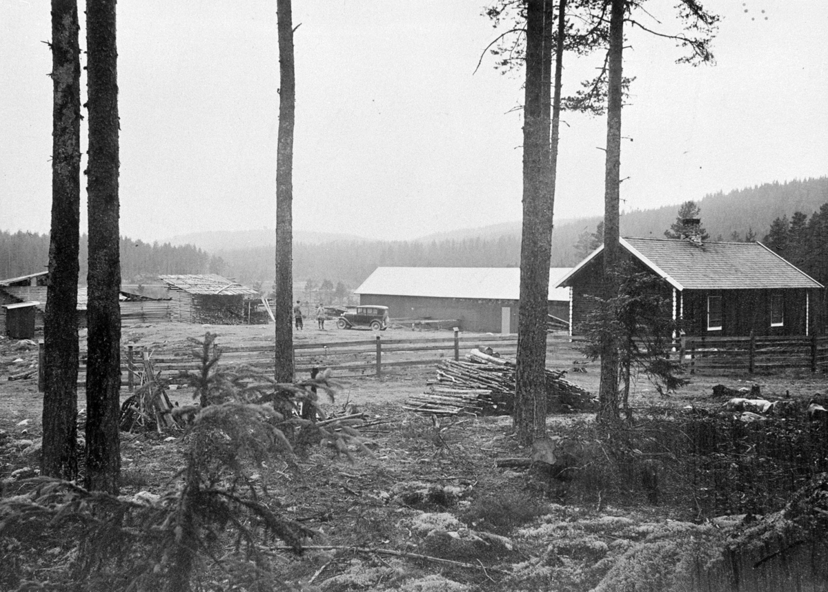 Romedal almenning, Stange. Skogbruk, sagbruk, ukjent sted.