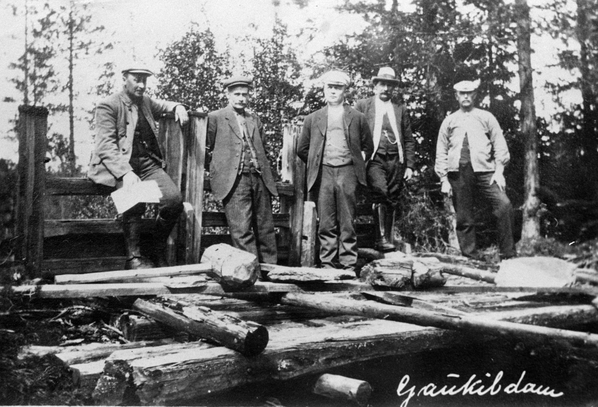 Romedal almenning, Stange. Skogbruk, gruppe 5 ukjente menn, Gaukildammen. (?)