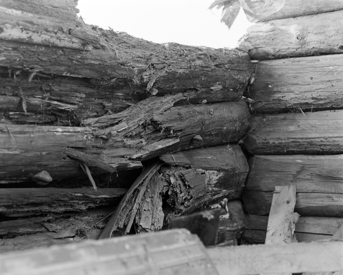 Heggenhaugen gård, Gaupen. Nedtaking av stabbur. 1980. Flyttet til Domkirkeodden. Tømmer, lafting, HDH.36.