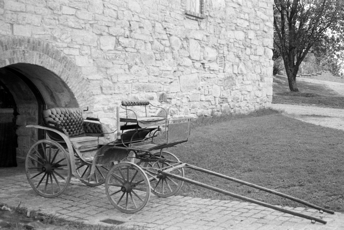 Trille fra Eriksrud, Ringsaker.