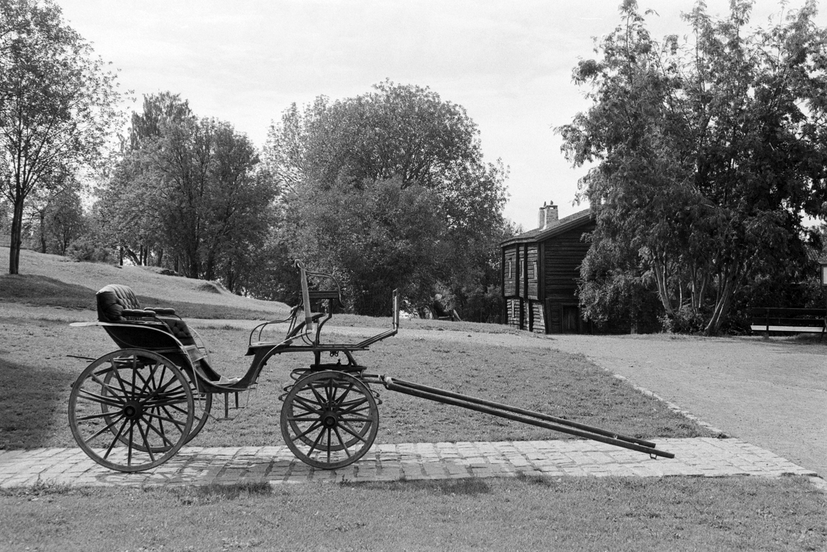 Trille fra Eriksrud, Ringsaker.