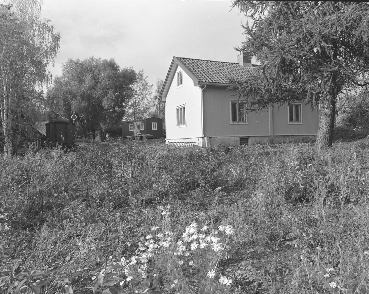 Lillebekken,, Hedmarksmuseet, Domkirkeodden. HDH. 90