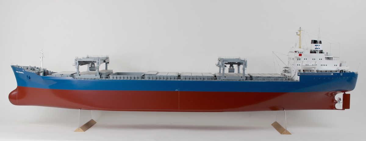 MS STAR COLOMBIA