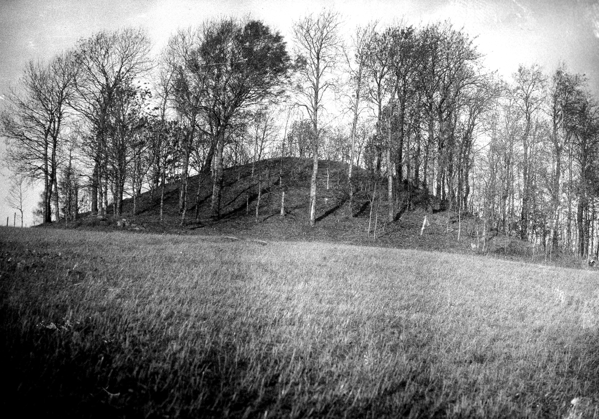 Holöja kulle, som fått namnet Holöja skans, av kyrkoherde Runstedt, eftersom denna trodde kullen varit en försvarsborg, kullen är en storhög eller kungshög från järnåldern med inrasad gravkammare på toppen.