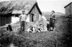 Håkan, Hanna och Hans.