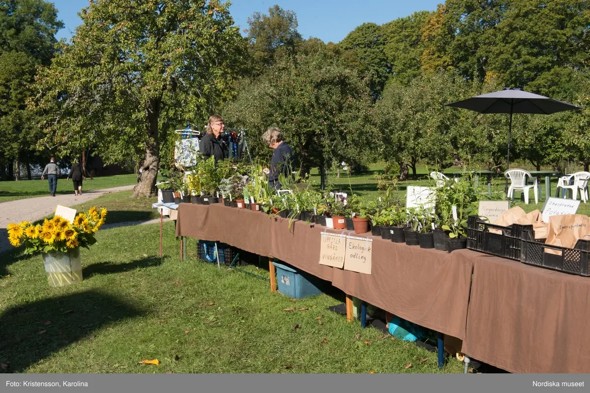 Äppeldagarna Julita 2015, Äpplen, marknad, butiken