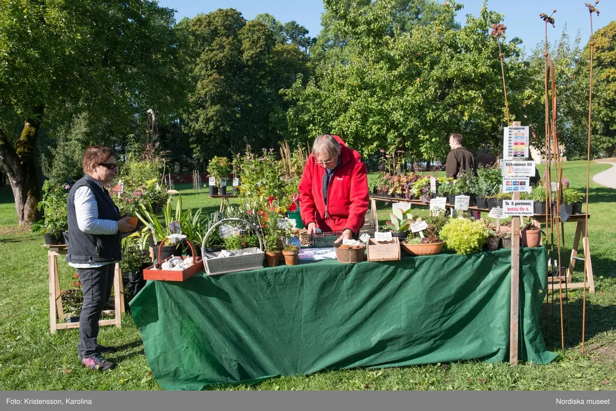 Äppeldagarna Julita 2015, Äpplen, marknad, butiken