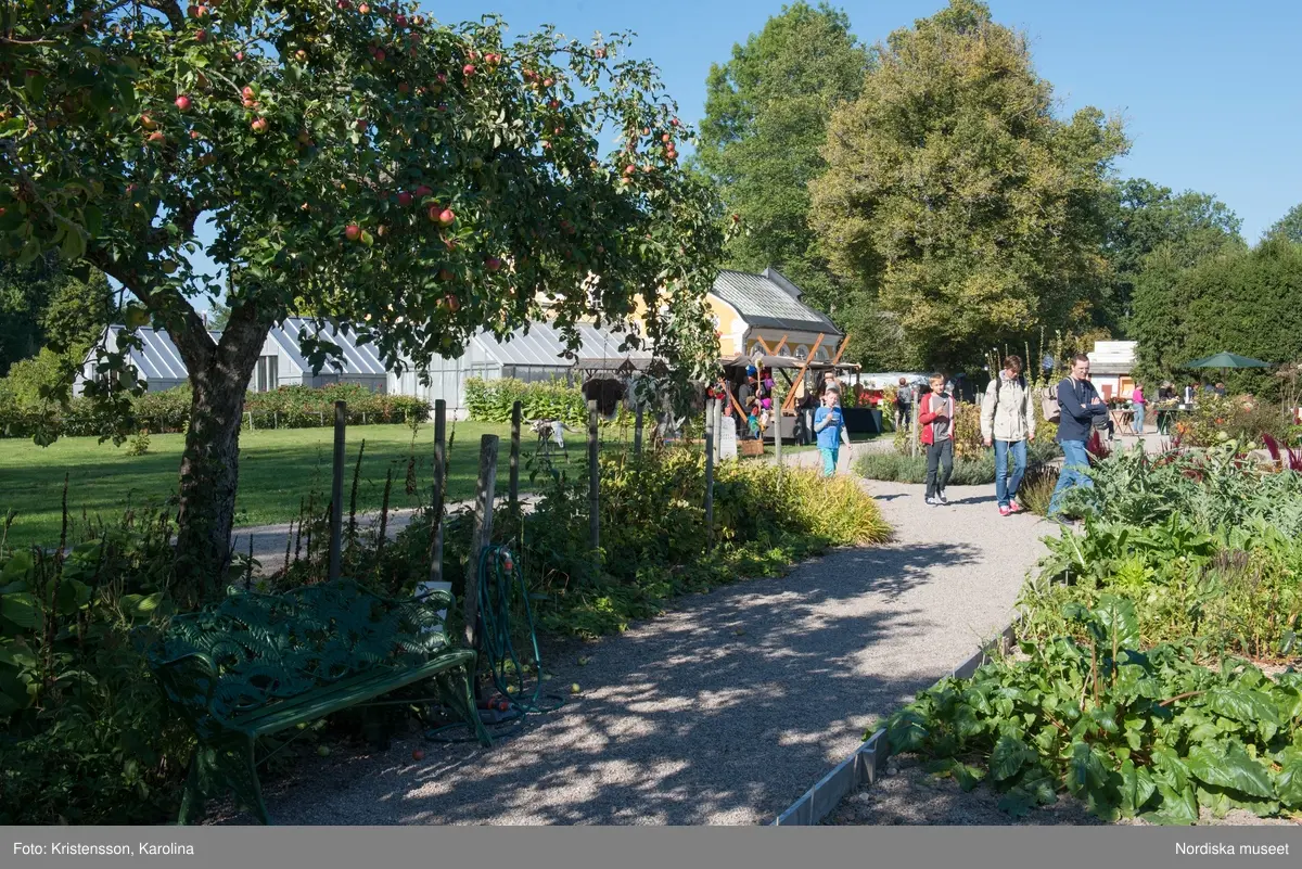 Äppeldagarna Julita 2015, Äpplen, marknad, butiken