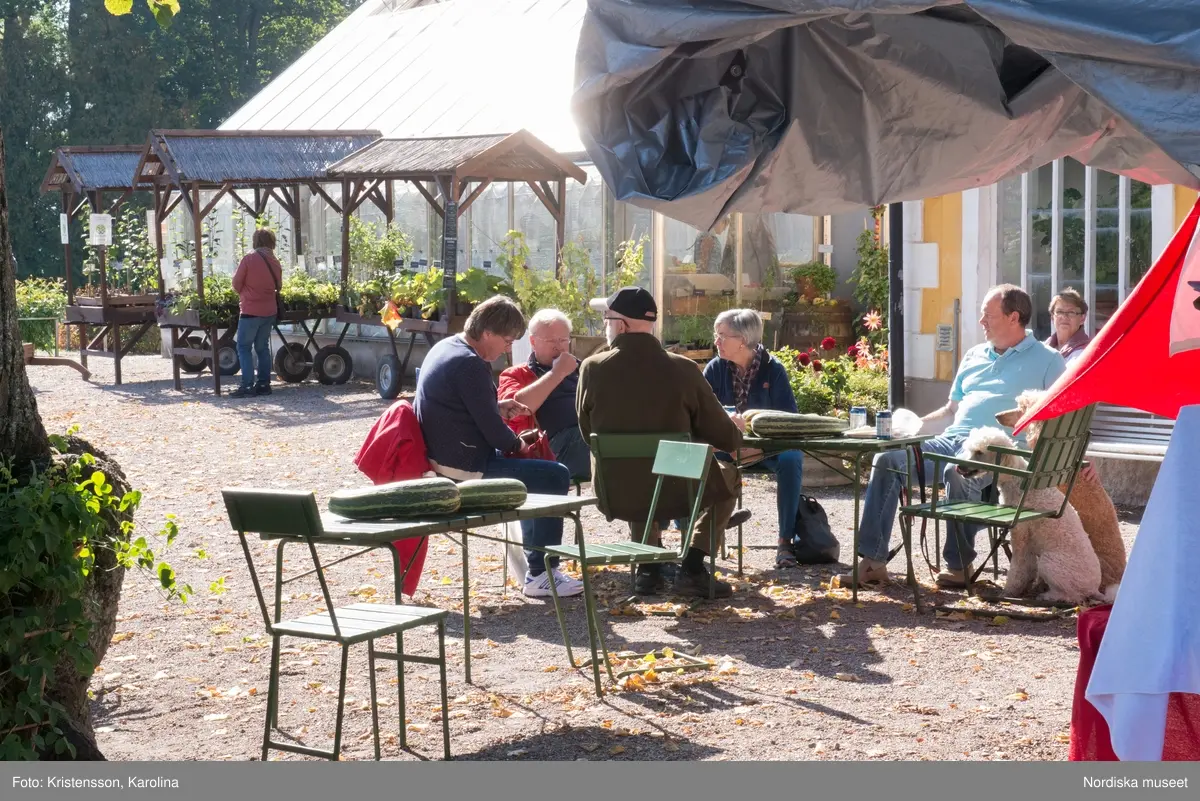 Äppeldagarna Julita 2015, Äpplen, marknad, butiken