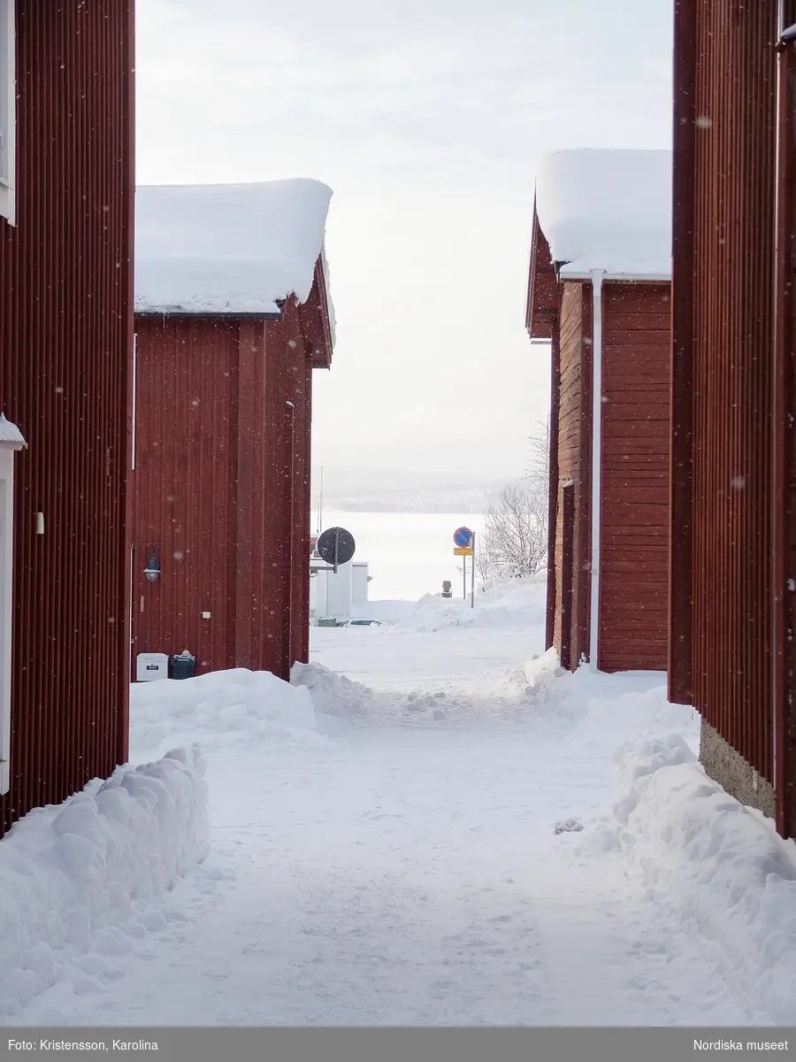 Vilhelmina kyrkstad, Arktis