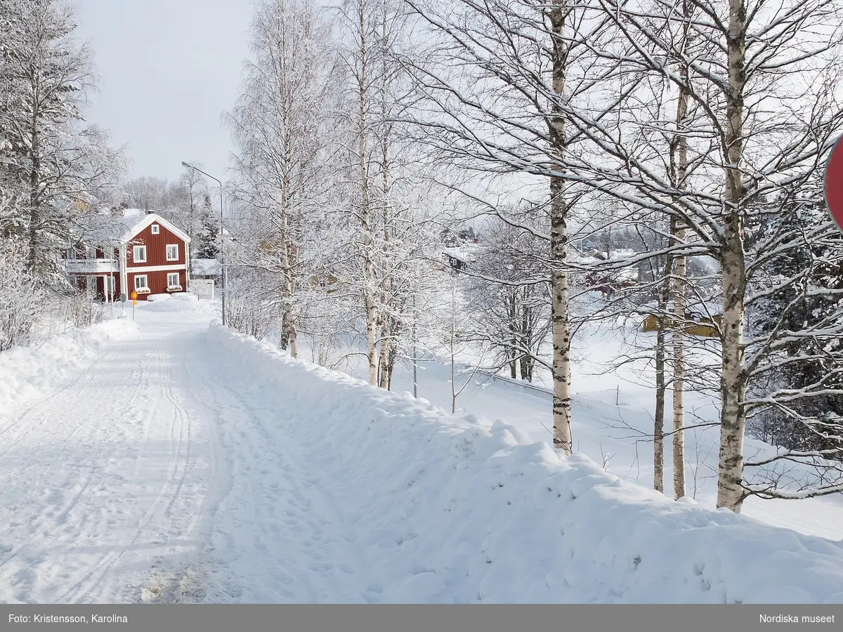Vilhelmina, snö, Arktis