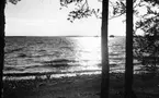 Solreflexer på Storsjön. Foto 1938.