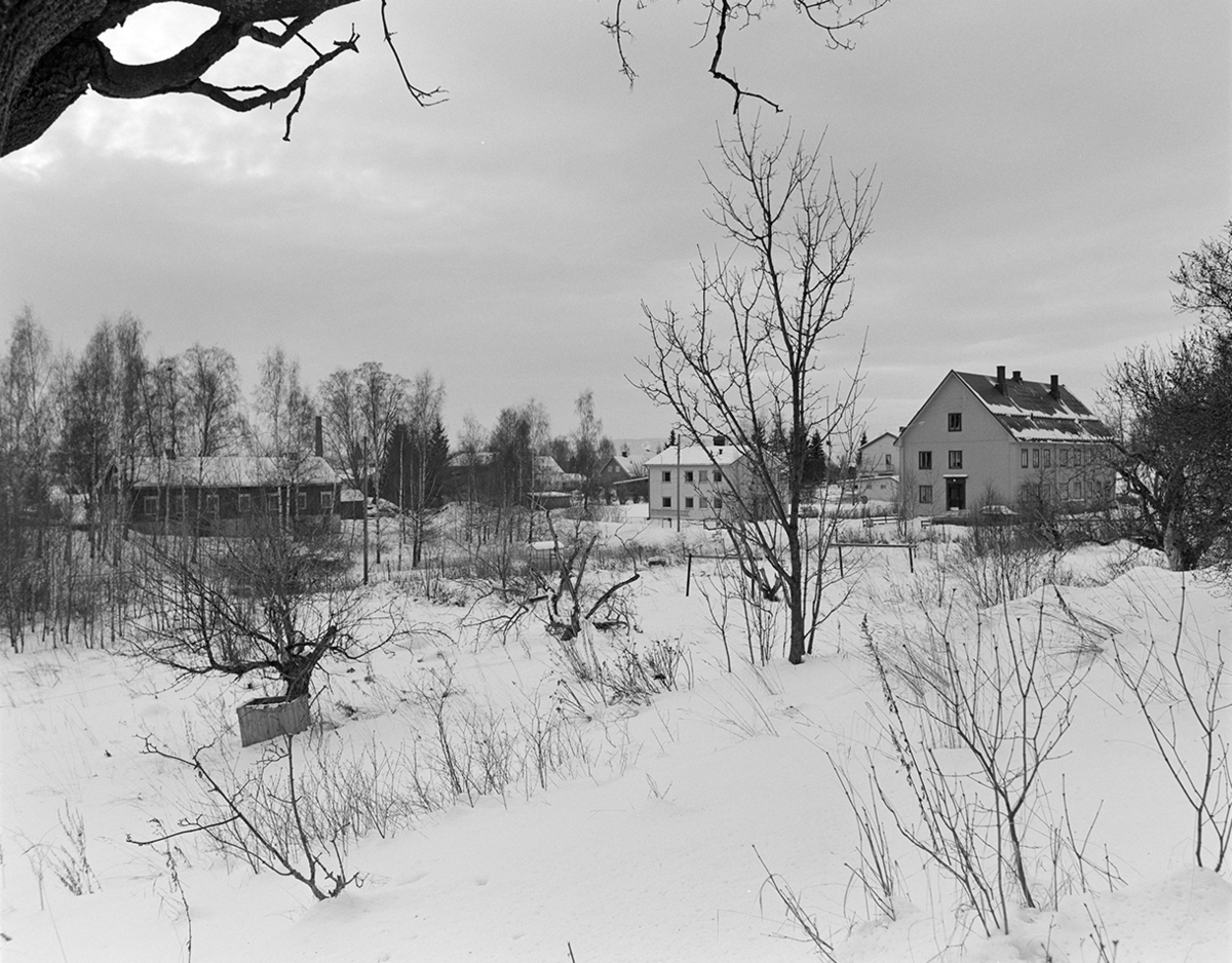 Disen gård, Hamar. Disentunet.Eksteriør.