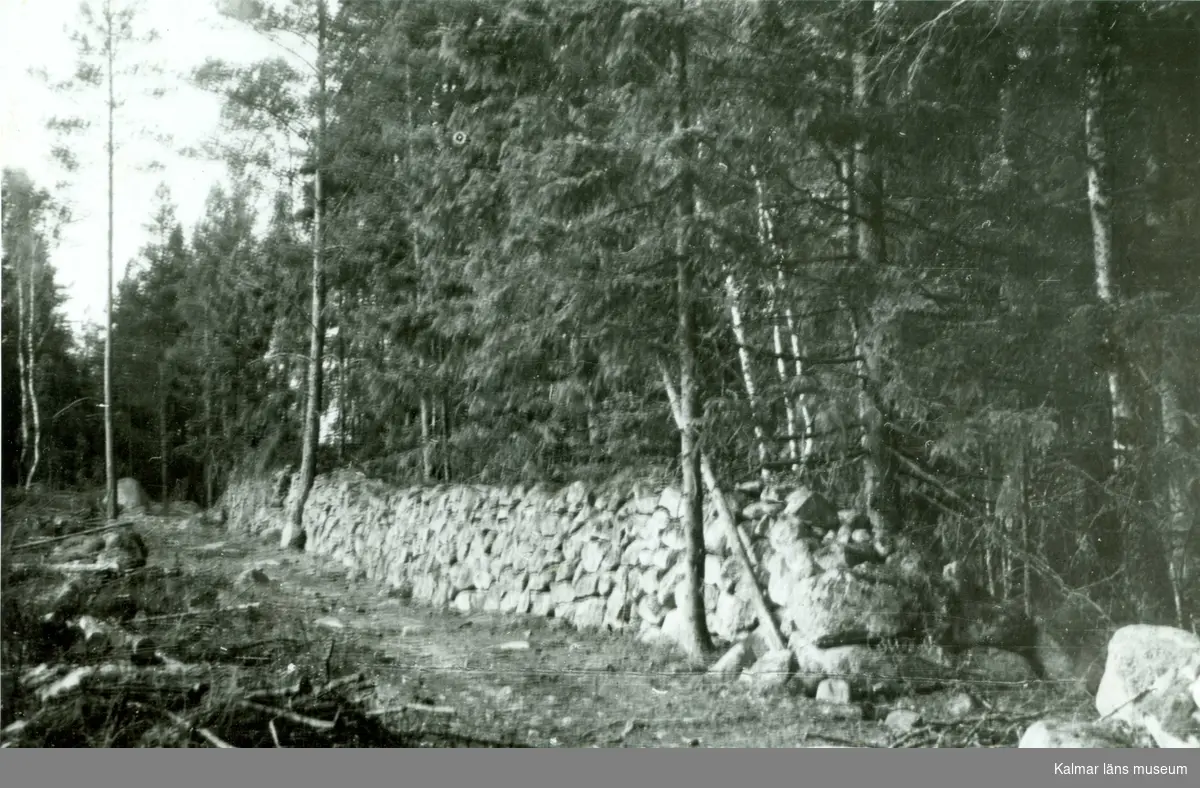 Befästningsanläggning i skogen i Starbäck. Ett stycke av västra omfattningsmuren.