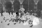 Ester Ellqvist-Bauer matar duvor på ett torg i Italien.