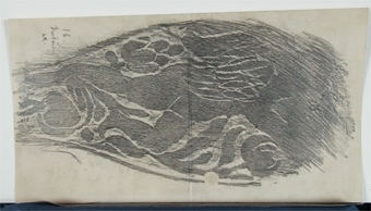 Dekorativa mönster (kalkering från museets stenbord)
