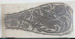 Dekorativa mönster (kalkering från museets stenbord)