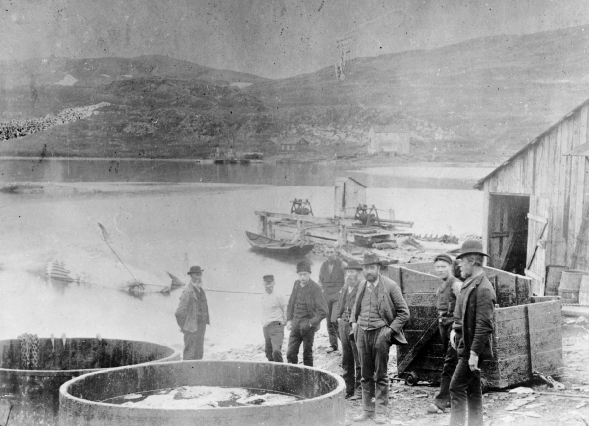 Bildet er tatt fra Storholmen ca. 1884-1885. En gruppe menn står ved to store trantønner ved hvalstasjonen. En hval ligg i fjæra, fortøyd fast i kaien. Vi ser i forgrunnen trolig Bruuns eller Evensens stasjon på Holmen, mens i bakgrunnen kan man se Neptun hvalkokeri (før det ble fiskebruk, jf. bygningene). Haabet stasjon ble anlagt utenfor bildets bakgrunn til venstre i 1898. 

Tønsberg Interessentselskap bygde på Håpet (stedet heter dette fortsatt) rundt 1898, mens O.B. Sørensen bygde der det i dag heter Neptun i 1884, som senere ble kjøpt av hvalselskapet Neptun (1894). På Holmen i Båtsfjord lå trolig en tredje fabrikk, mulig oppretta av Carsten Bruun da han flytta fra Ørretelva i Jarfjord i 1890, senere kjøpt av Conrad Evensen i 1897.

