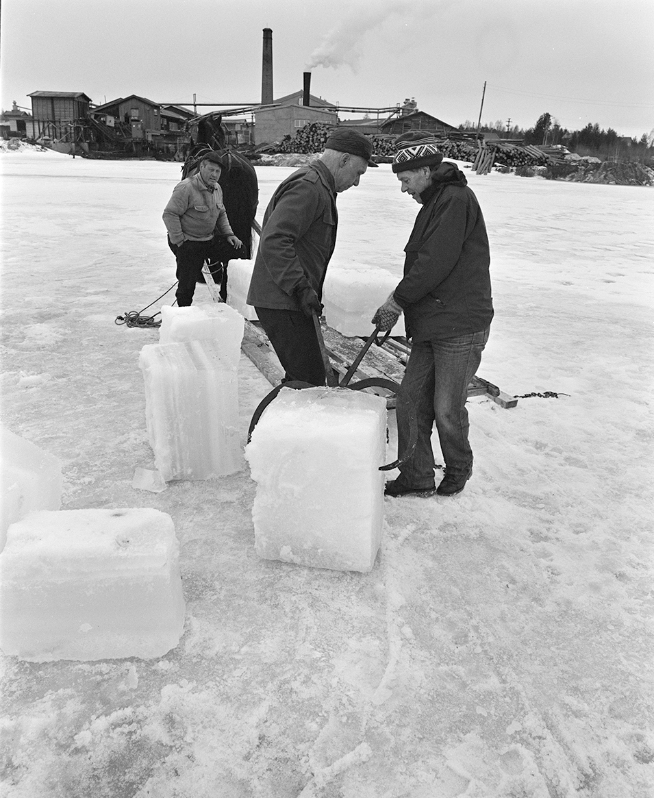 Isskjæring, Rokosjøen, Løten. Paul Nordvold, hest og slede, hesteredskap, iskjøring, isblokker.