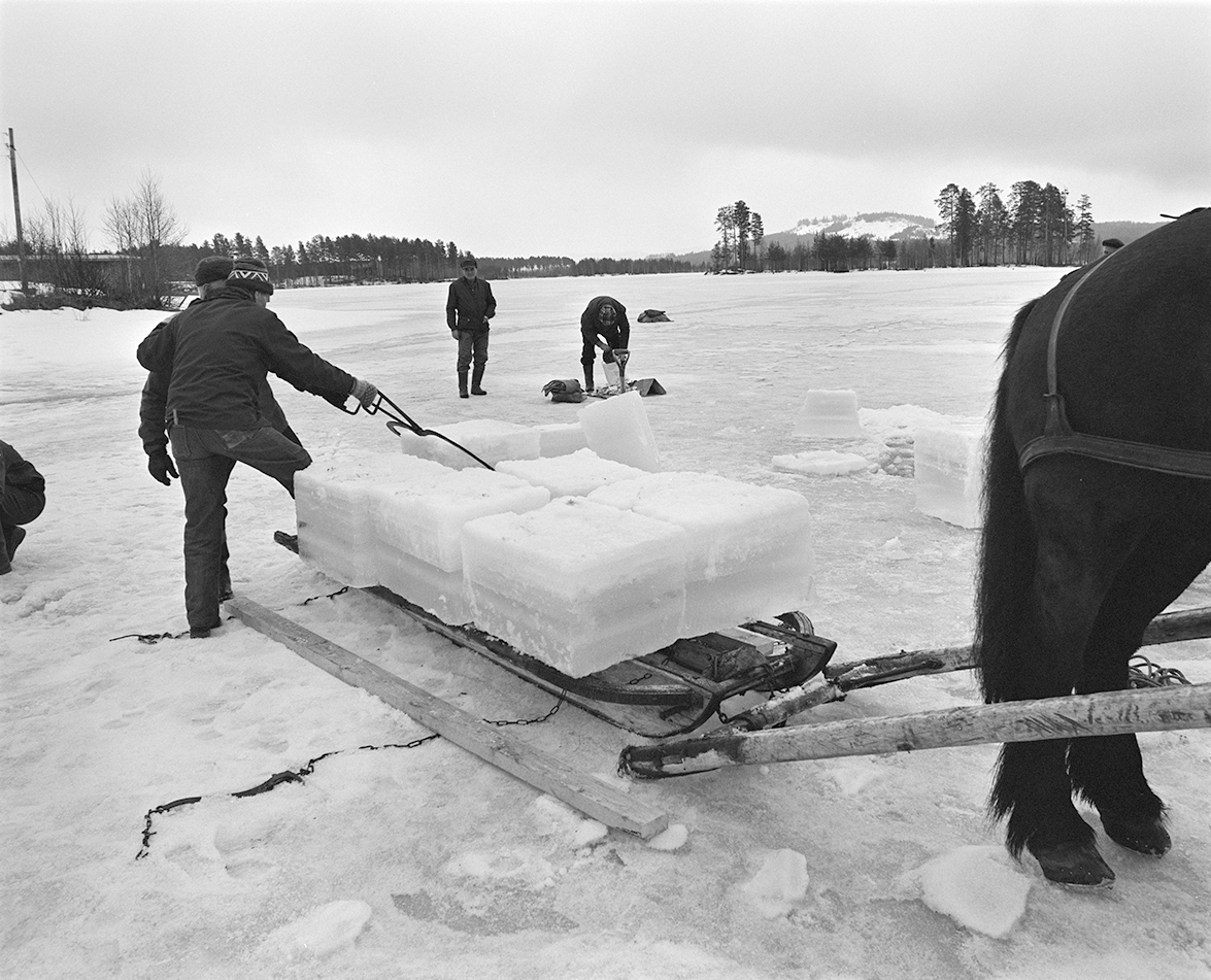 Isskjæring, Rokosjøen, Løten. Isblokker lastes på slede.