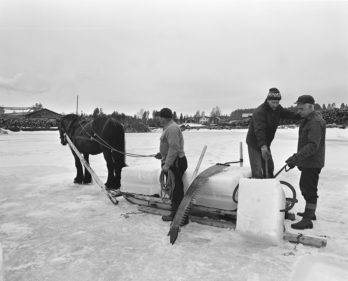 Isskjæring, Rokosjøen, Løten. Paul Nordvold, hest og slede, hesteredskap, iskjøring, isblokker, redskaper, ukjente.