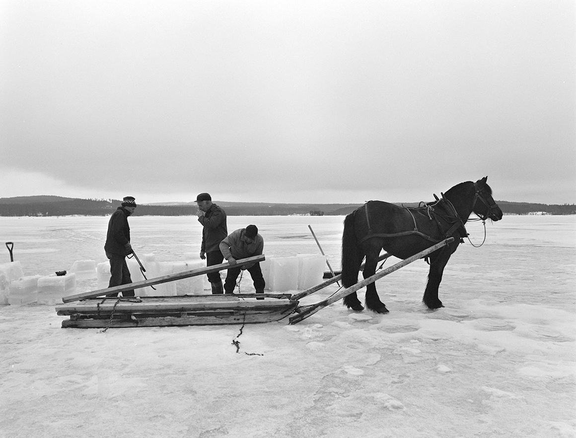 Isskjæring, Rokosjøen, Løten. Paul Nordvold, hest og slede, hesteredskap, iskjøring, isblokker, redskaper, ukjente