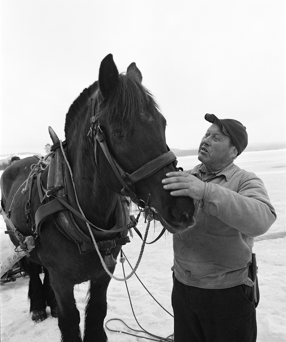 Isskjæring, Rokosjøen, Løten. Paul Nordvold, hest, seletøy.