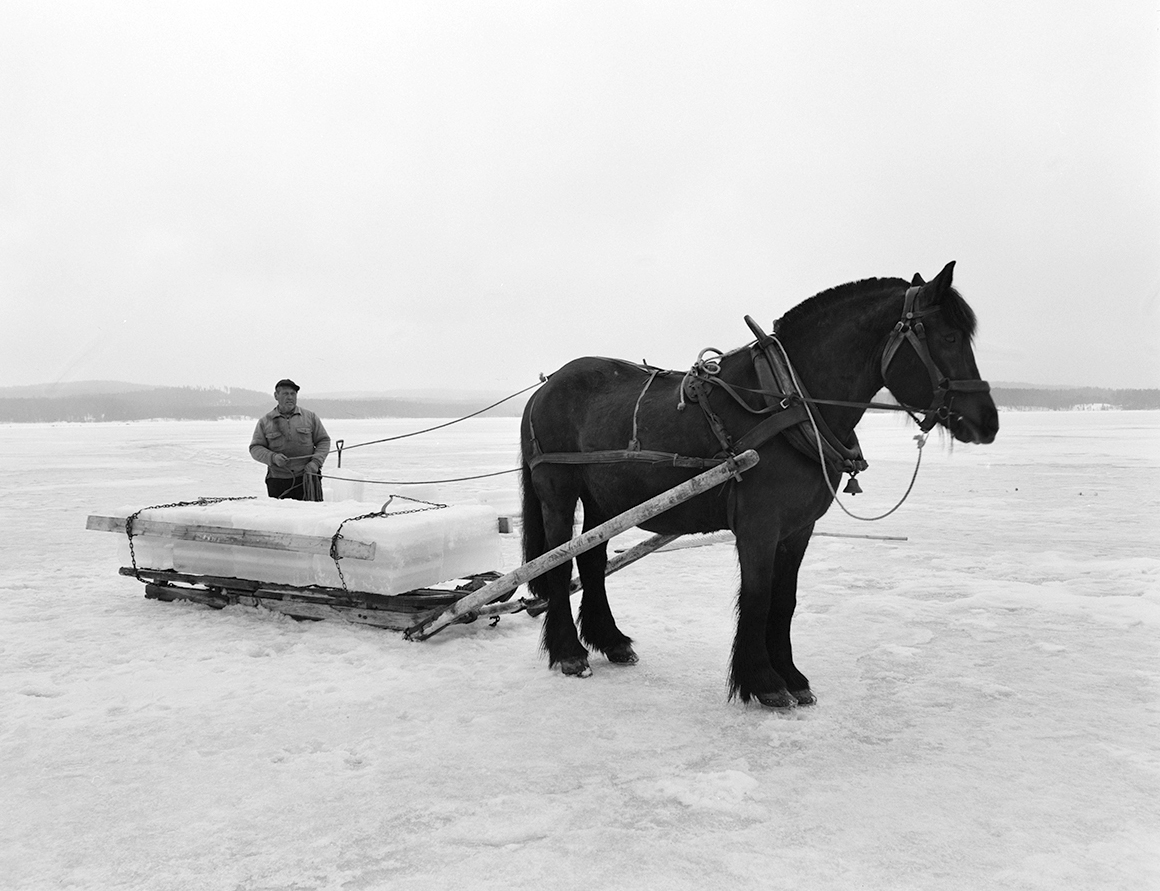Isskjæring, Rokosjøen, Løten. Paul Nordvold, hest og slede, hesteredskap, iskjøring, isblokker,