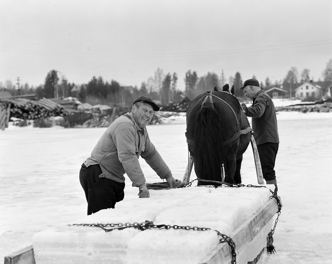 Isskjæring, Rokosjøen, Løten. Paul Nordvold, hest og slede, hesteredskap, iskjøring, isblokker,