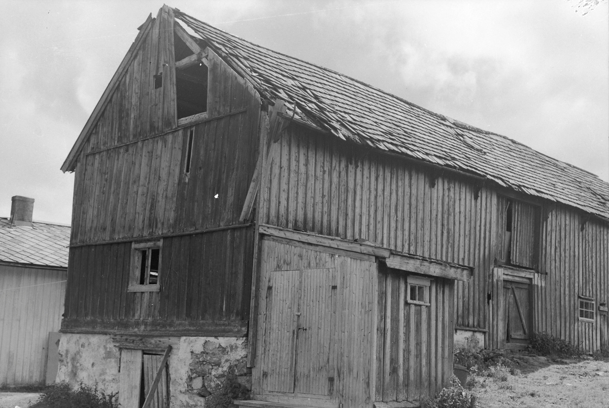 Tunga gård i Bymarka -Sverresborg Trøndelag Folkemuseum / DigitaltMuseum