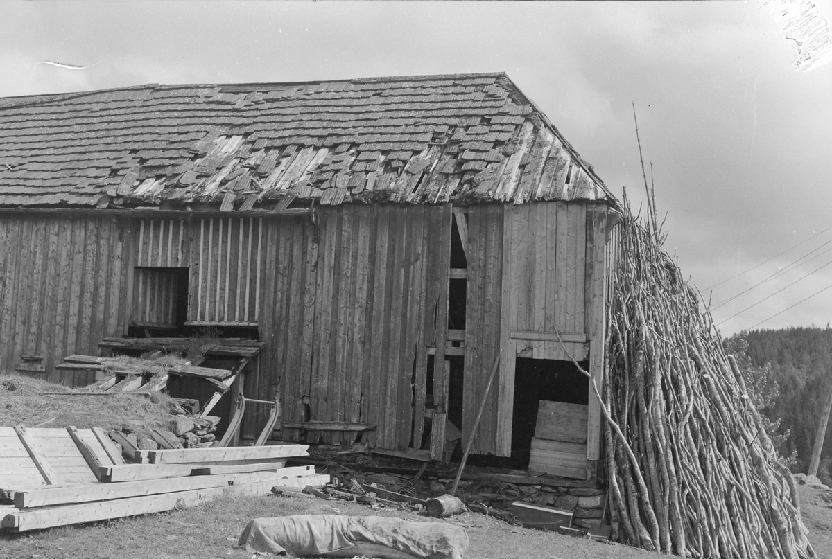 Tunga gård i Bymarka -Sverresborg Trøndelag Folkemuseum / DigitaltMuseum