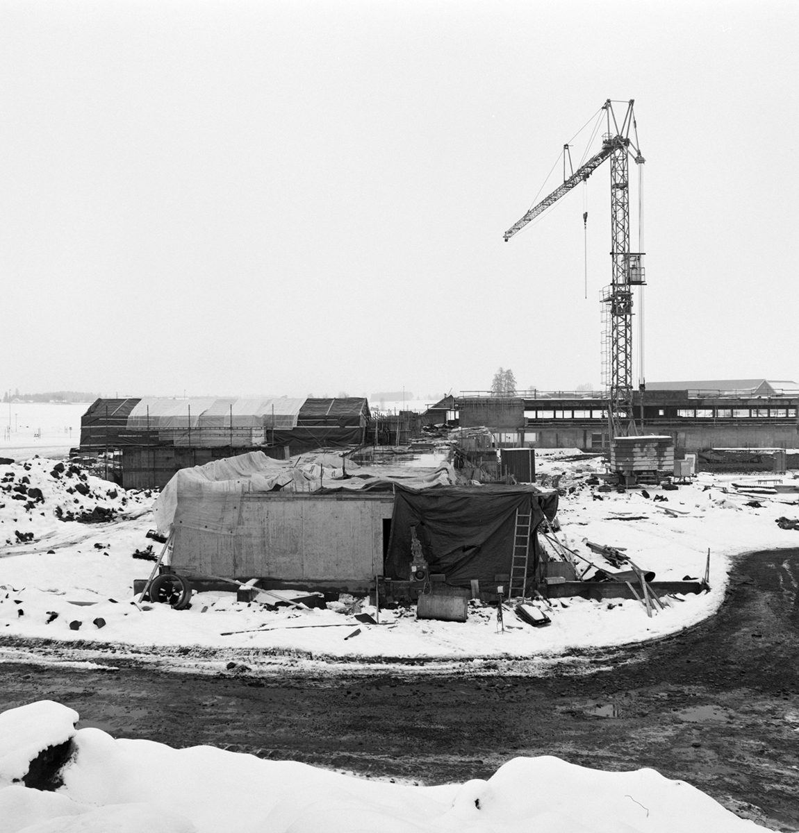 Stangehallen, Riksanlegg, friidrett, anleggsvirksomhet, byggekran.