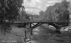 Parti av Gavleån. Gammelbron