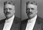 Musikfanjunkare Anton Thorselius